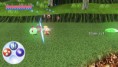 Sword of Rapier